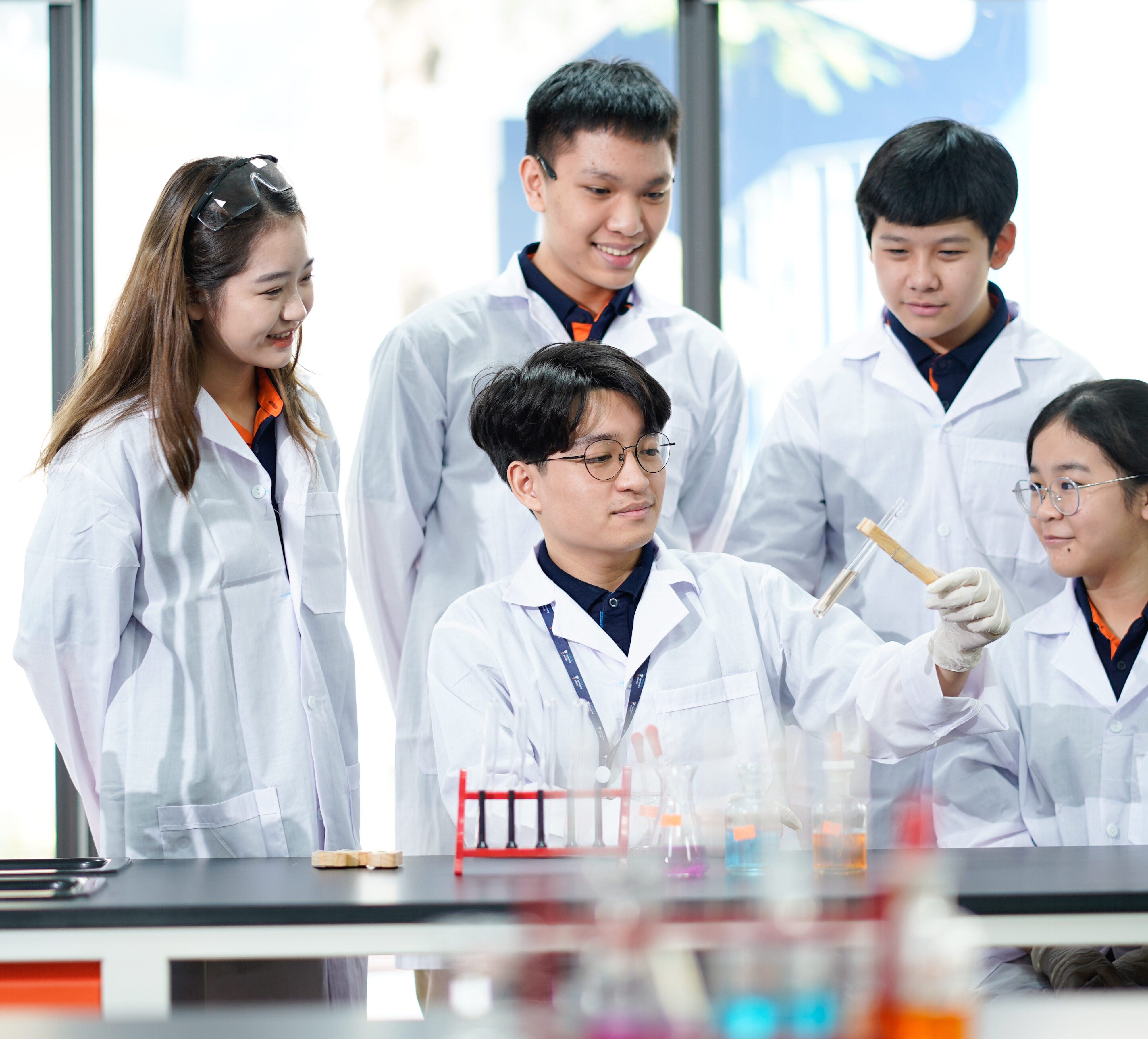 ảnh đại diện tiểu học