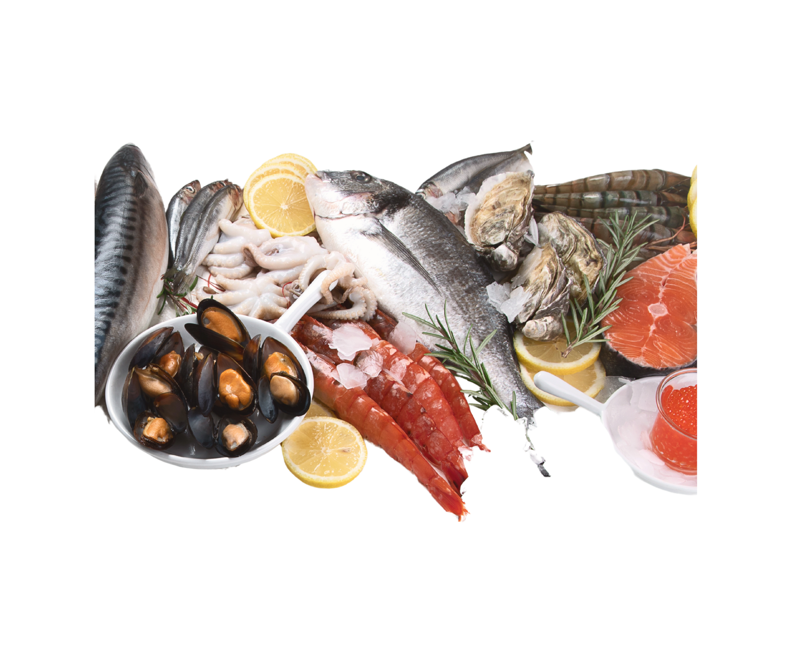 Seafood