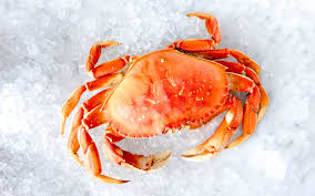 Wild Bay Whole Cooked Crab