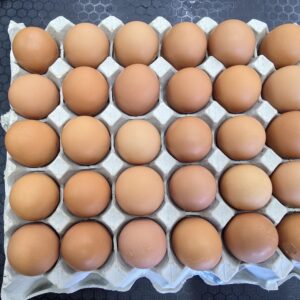 Free Range Eggs- 30eggs per tray