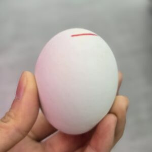 Fresh Balut Duck Eggs- 1 Egg