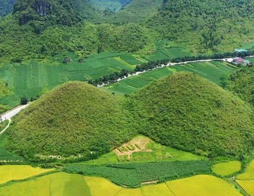 Cầu chì hạ thế OEZ